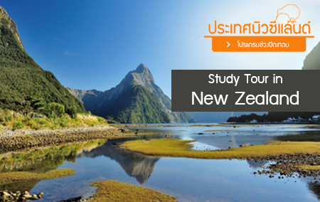 We Study Tour in New Zealand