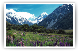 newzealand1